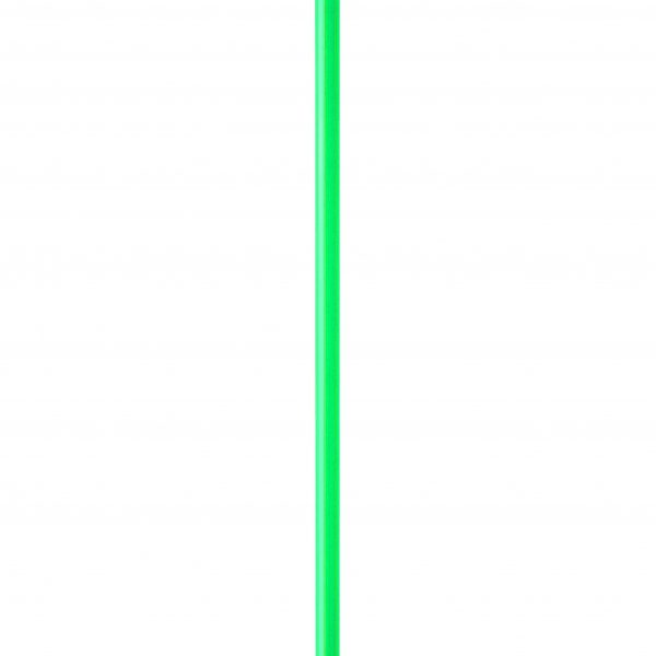 3356.jpg